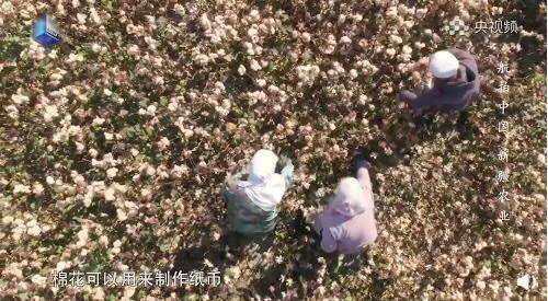 央視頻過去所發布的紀錄片《航拍中國，新疆農業》中，對人民幣的製作過程有深入的介紹。 圖 : 翻攝自微博