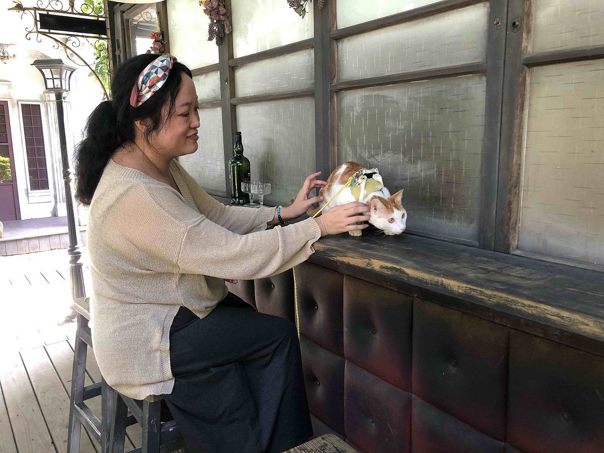 新北歡迎飼主與毛寶貝一起進入寵物店家。 圖：新北市動保處提供