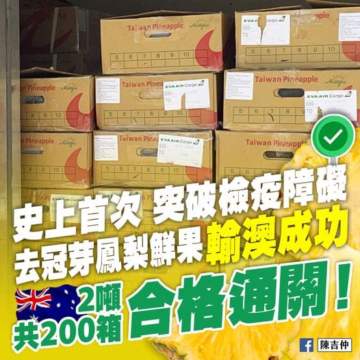 農委會主委陳吉仲在臉書分享鳳梨輸澳成功好消息。 圖/陳吉仲臉書