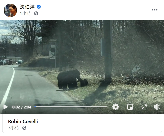 資訊戰專家沈伯洋分享黑熊媽媽帶4隻小黑熊過馬路短片。 圖 : 翻攝自沈伯洋臉書