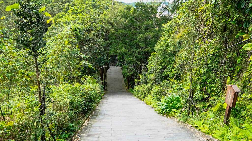 指南宮竹柏參道位於臺北大縱走第七段。 圖：取自台北旅遊網