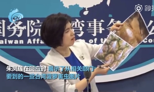 朱鳳蓮在今日的國台辦記者會上，拿出台灣鳳梨查驗出害蟲的照片 圖:翻攝自微博