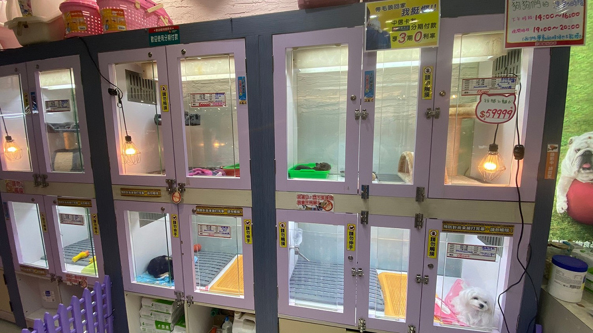 民眾請慎選合法寵物業店家。 圖：新北市動保處提供