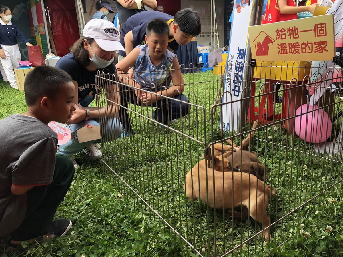 大都會公園舉辦「毛寶貝藝童樂大都會放風趣」認養活動。 圖：新北市動保處提供