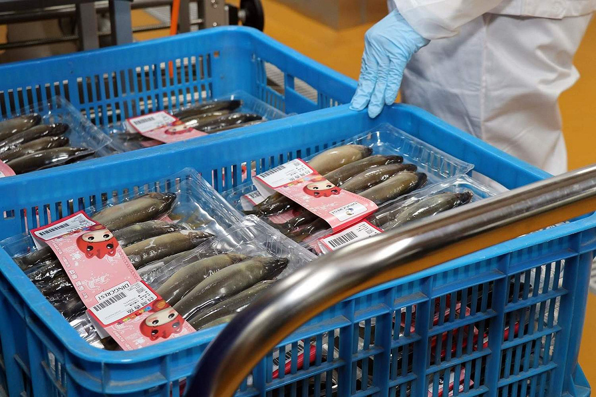 大鼎冷鏈是水產業加入文創元素。 圖：嘉義市政府/提供