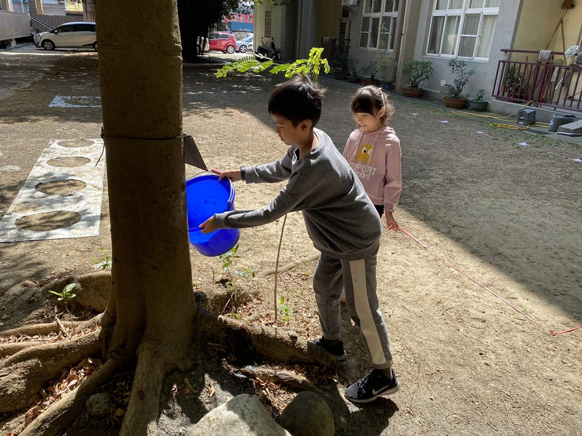 嘉義縣小學教導學生收集洗手後的廢水澆灌植栽。 圖：嘉義縣政府/提供