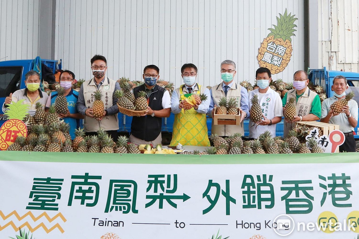 為支持臺灣農民，「香港臺灣工商協會」積極號召獲熱烈反應，透過關廟南雄合作社，採購逾10000公斤準備輸往香港，台南市長黃偉哲今日參與啟運記者會，共同見證臺南鳳梨外銷香港。 圖：黃博郎／攝