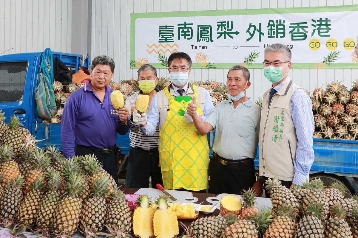 為支持臺灣農民，「香港臺灣工商協會」積極號召獲熱烈反應，透過關廟南雄合作社，採購逾10000公斤準備輸往香港，台南市長黃偉哲今日參與啟運記者會，共同見證臺南鳳梨外銷香港。 圖：黃博郎／攝