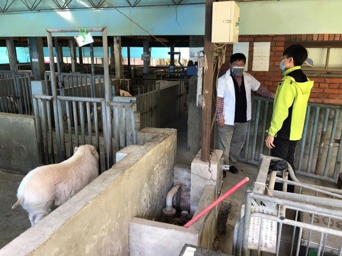 北市動保處表示，轄區內10戶私人養豬戶已完成清查，沒有非洲豬瘟疑慮。 圖：北市動保處／提供