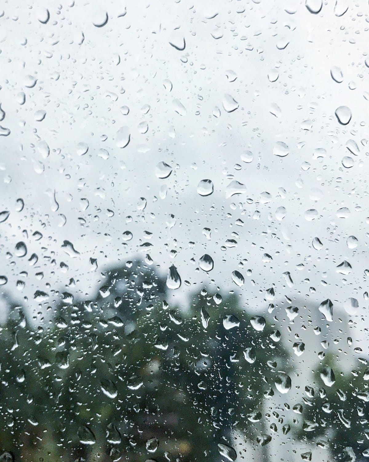 屏東聽見下雨的聲音 圖:擷取自潘孟安臉書