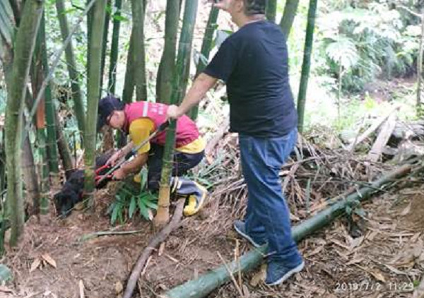 新北市多山區，常見動物遭山豬吊或捕獸鋏夾傷，新北市動保處接獲通報即刻進行救援。 圖：新北市動保處提供