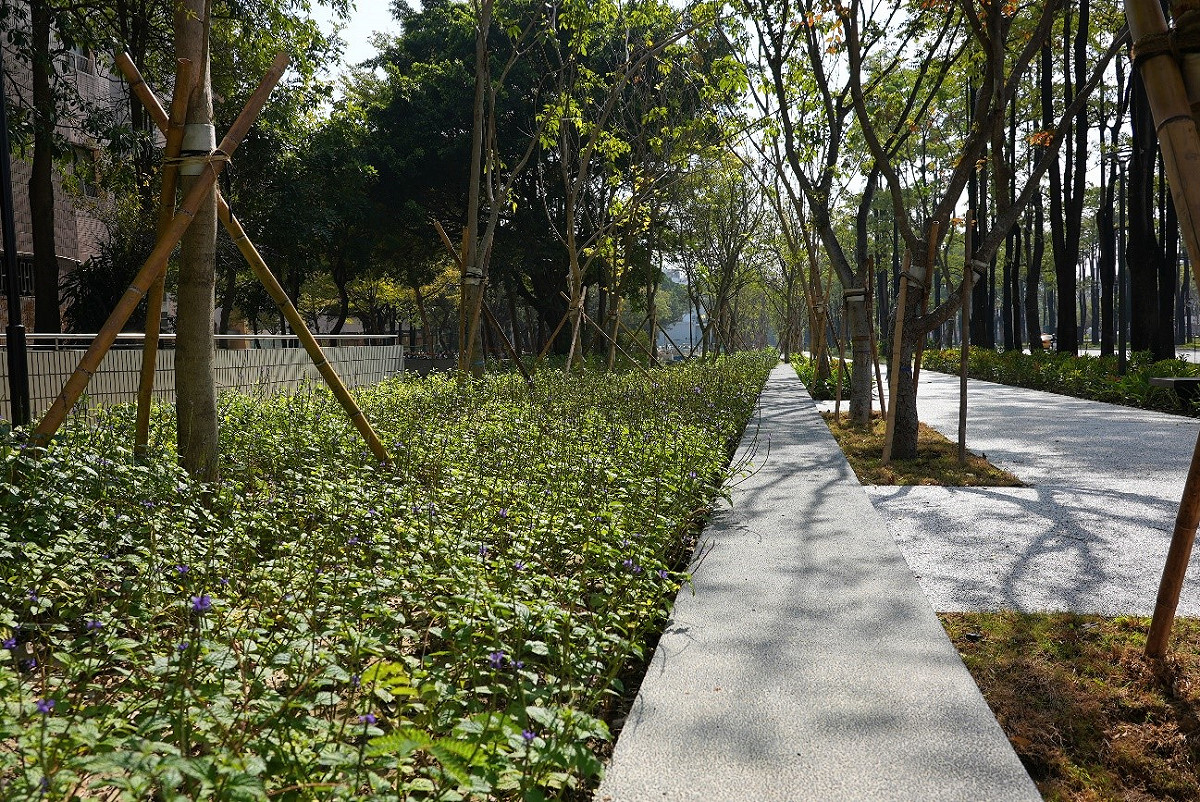 中興大學原有校園圍牆拆除，改以造型座椅擴展在地休閒空間。 台中市政府/提供
