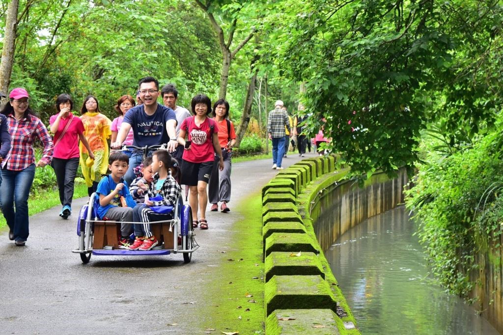 中部地區氣候宜人，適合全家人出遊賞桐花。 圖：台中市政府/提供（資料照）