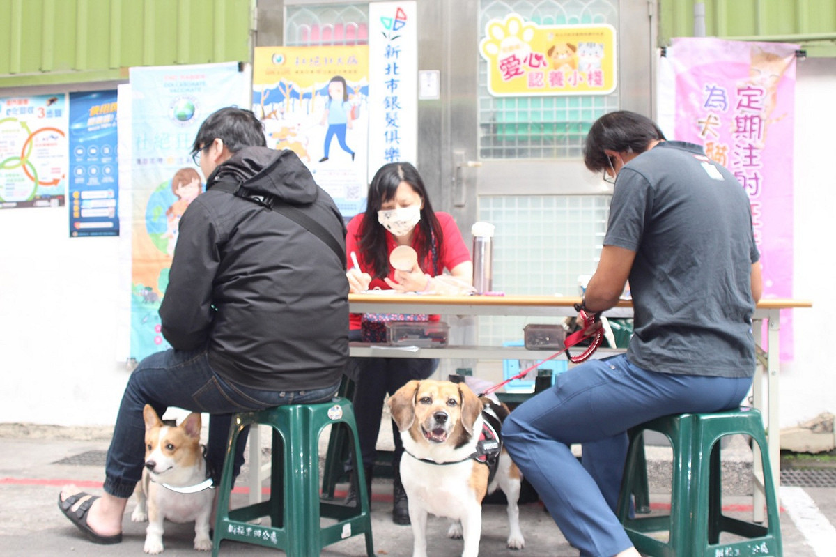 樹林區圳福市民活動中心設立認養小棧，現場提供免費狂犬病疫苗施打。 圖：新北市動保處提供