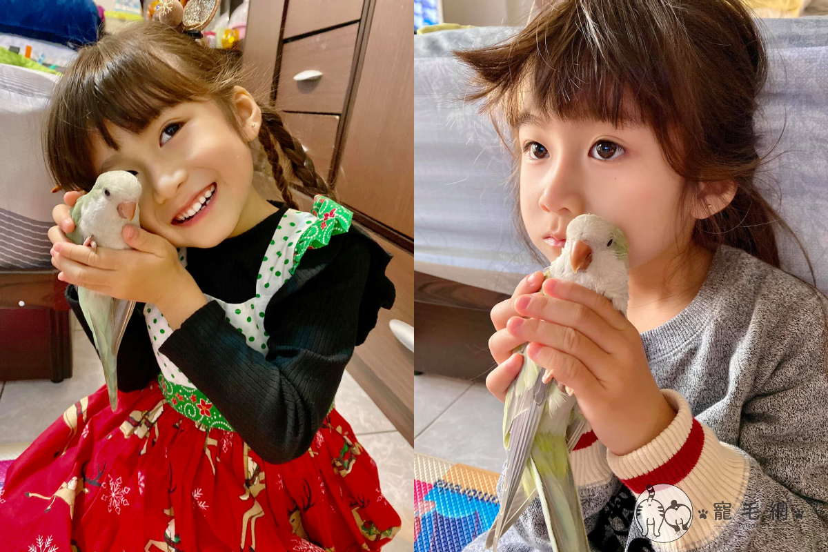 小萌妹溫柔「臉撸鸚鵡」示愛，畫面可愛到冒泡！ 圖／網友May Hsu授權