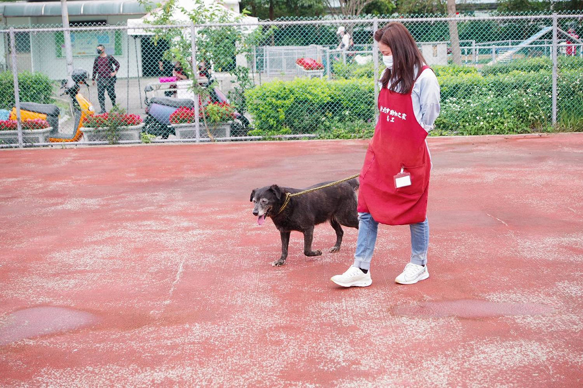 陪伴毛寶貝曬太陽、散步，運動紓壓又能加深感情，希望能有更多人加入志工行列。 圖：新北市動保處提供