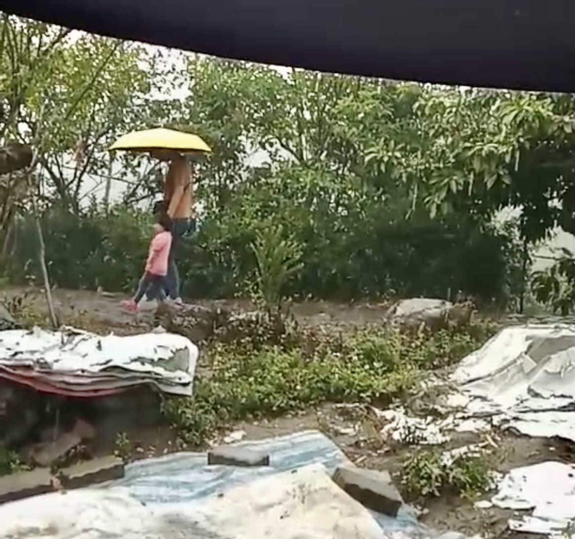 台南曾文水庫集水區、南化、楠西、左鎮下起大雨，民眾難得撐傘，反而覺得開心。 圖：拍鳥俱樂部鳥友提供