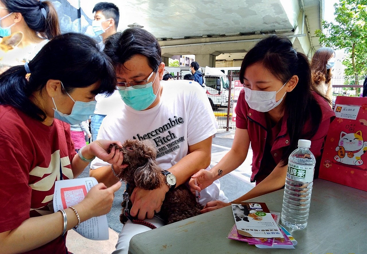 「汐止毛孩幸福趴」提醒飼主每年帶毛寶貝施打1次狂犬病疫苗。 圖：新北市動保處提供