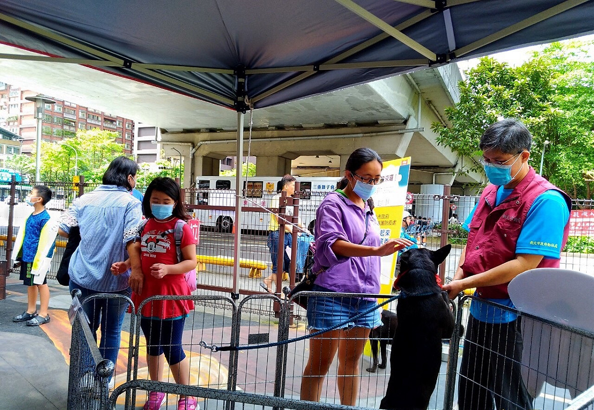 認養區民眾在動保員帶領下和狗狗互動。 圖：新北市動保處提供