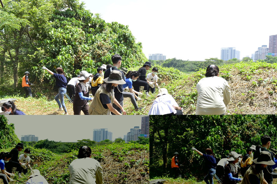 高市府副秘書長郭添貴、青年局長張以理與志工下水清理生態。 圖：高雄市政府青年局/提供
