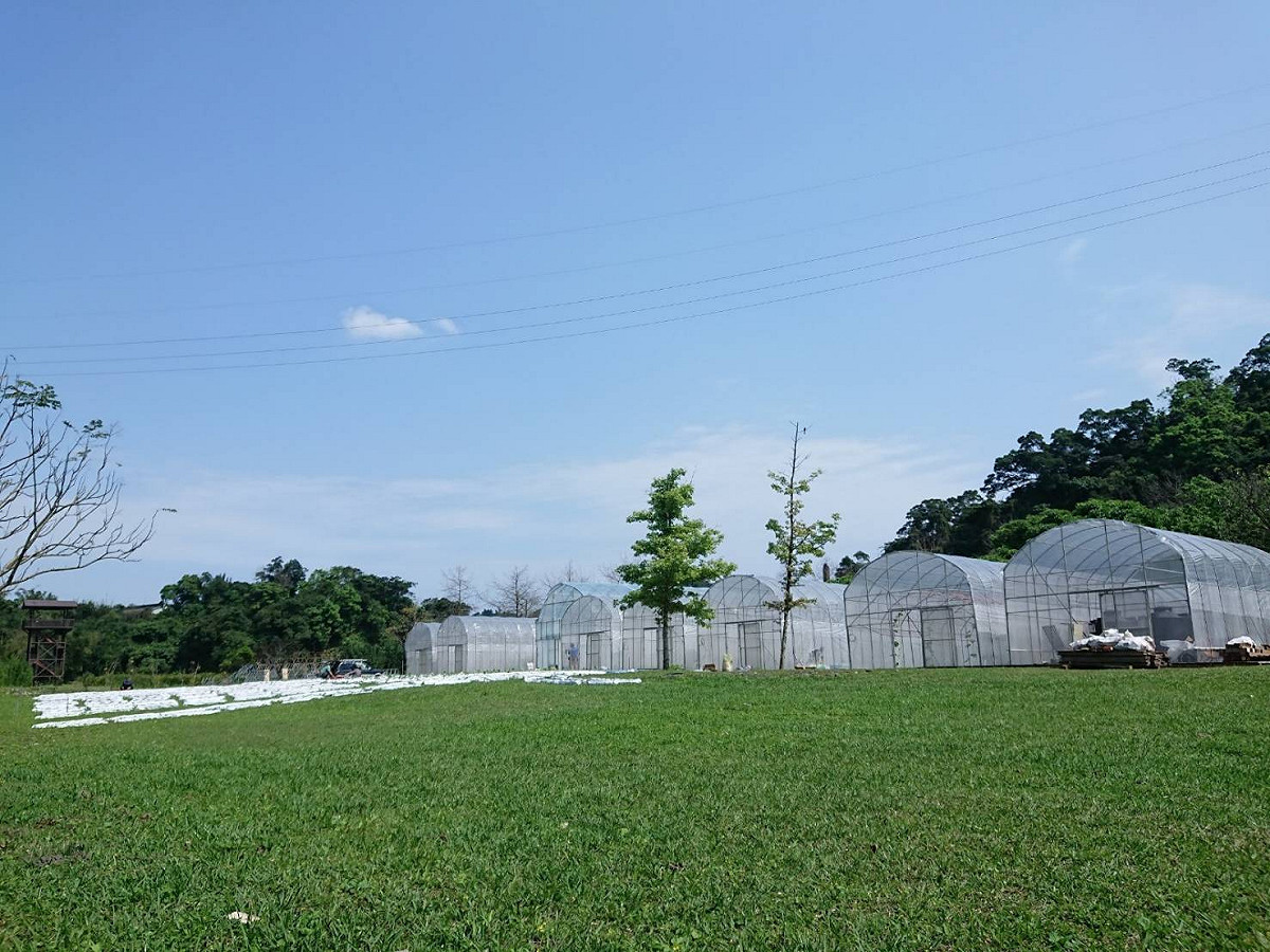 宜蘭綠色博覽會5/1全國勞工免費入園。 圖：取自宜蘭綠色博覽會官網