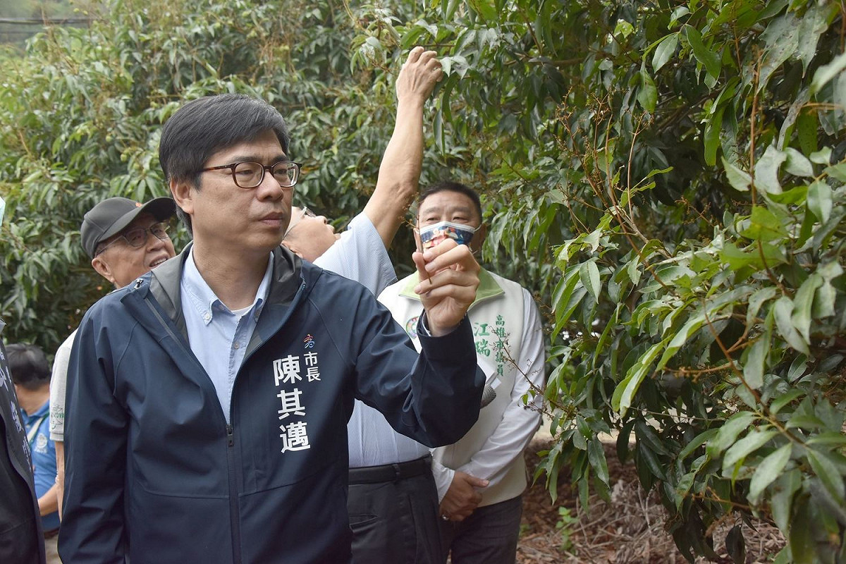 高雄市長陳其邁到大樹荔枝園勘查玉荷包荔枝著果率不佳情況，指示區公所與農業局從寬認定。 圖：高雄市府提供