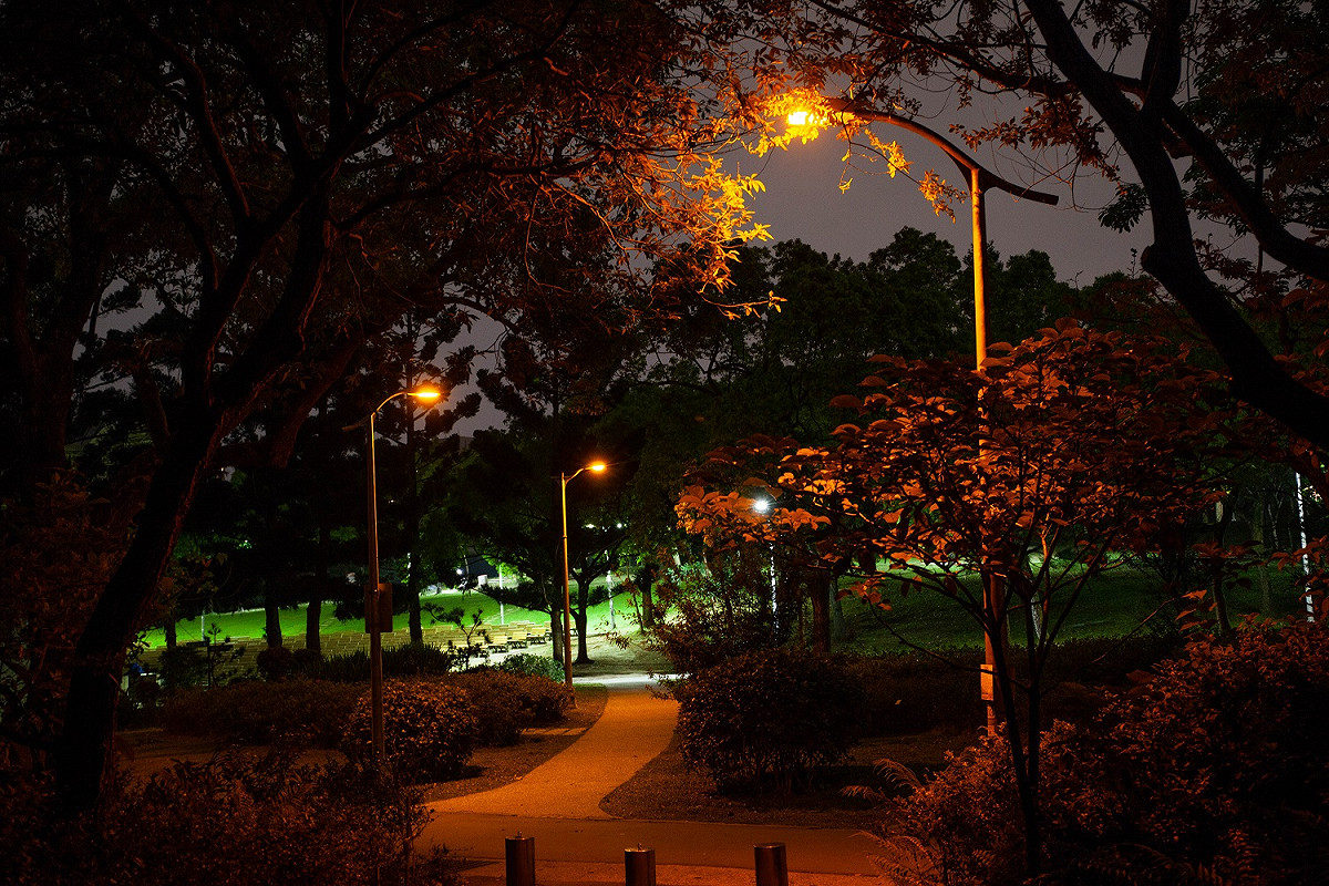 螢火蟲專用LED燈。 圖：北市公園處／提供