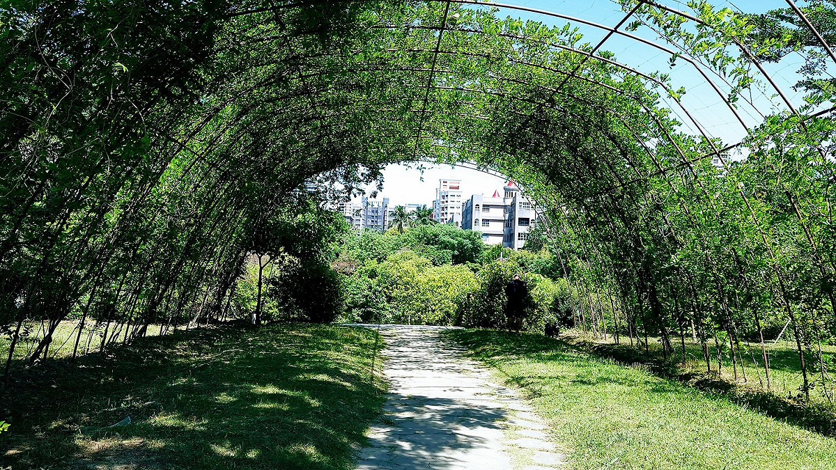 塭仔底溼地公園有樹蔭濃密、綠意盎然的清幽景色。 圖：新北市水利局提供