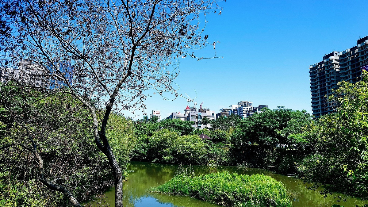 水情拉警報 新北塭仔底溼地公園戲水區延後開放