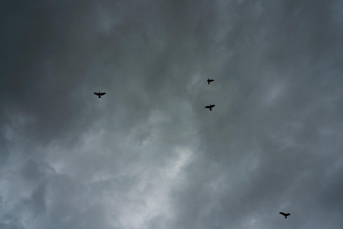今年首波梅雨鋒面今天抵達北部地區，大台北地區上午烏雲密佈，隨後也下起超有感的大雨。 圖：張良一/攝