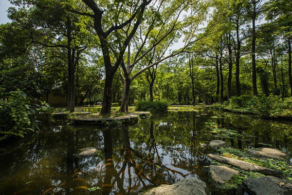 位於鳳山市區的網美景點。 圖：高雄市觀光局提供