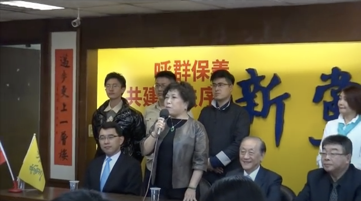 2016年新黨不分區第一順位提名人葉毓蘭。 圖：翻攝自新黨YouTube