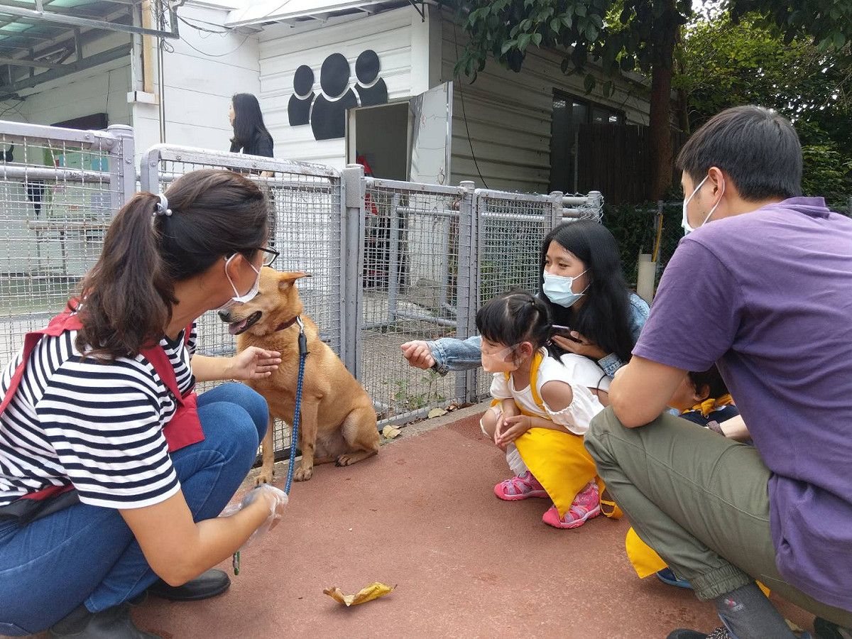 新北市生命教育園區的毛寶貝，傳遞溫暖陪伴特教慢飛天使們。 圖：新北市動保處提供