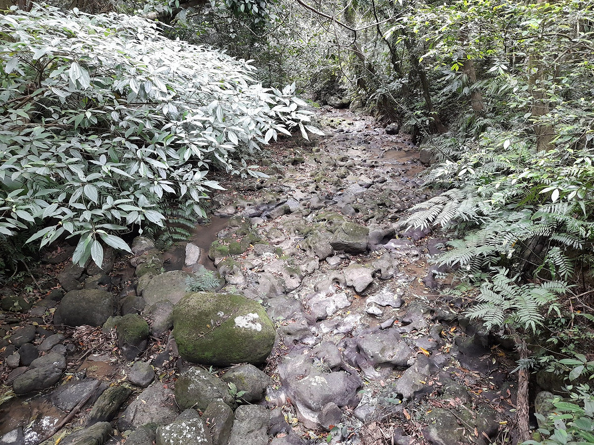 指南溪中游溪谷的壺穴地形，是貓空最具代表性的景觀。 圖：北市大地處／提供