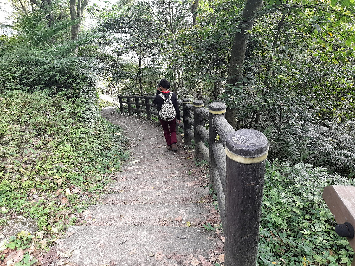 大成殿步道從指南路三段直接陡上，通往指南宮後山道路。 圖：北市大地處／提供