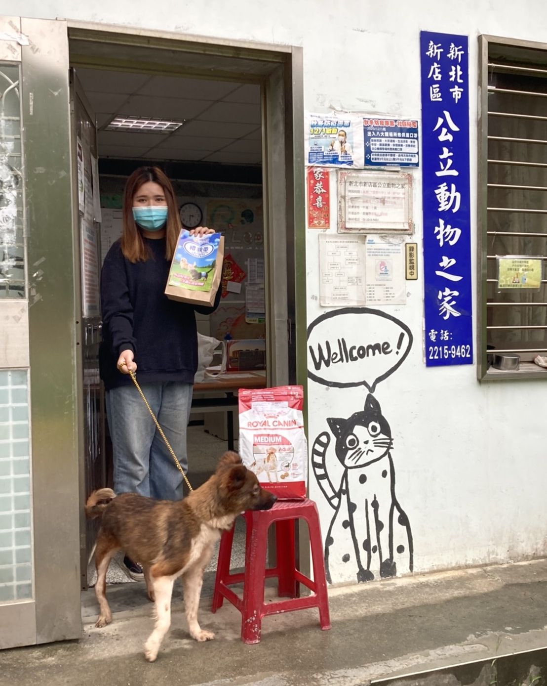 民眾到新店動物之家認養米克斯成犬。 圖：新北市動保處提供