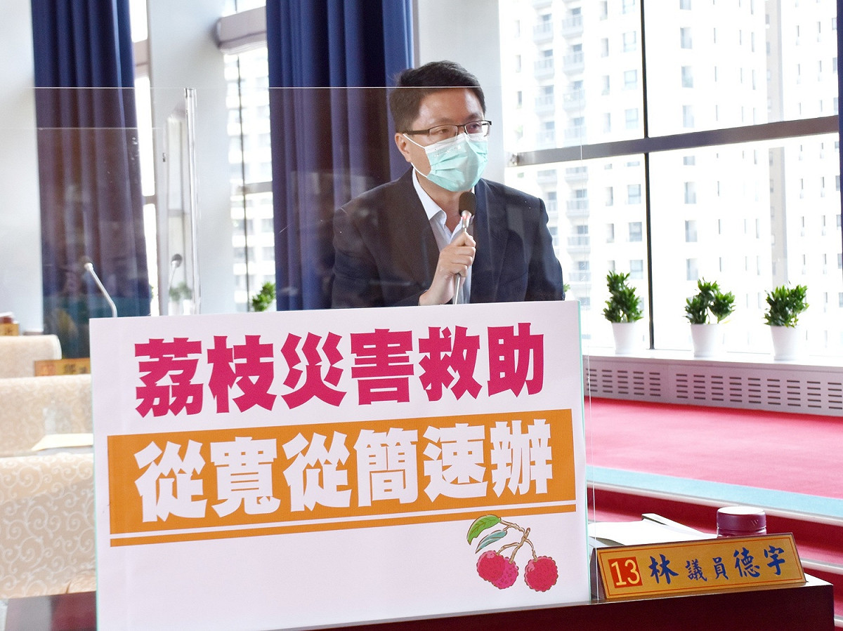 台中市議員林德宇說，大里區荔枝今年受旱災影響災損情形嚴重，要求農業局盡速辦理現金救助。 圖：台中市議員林德宇/提供