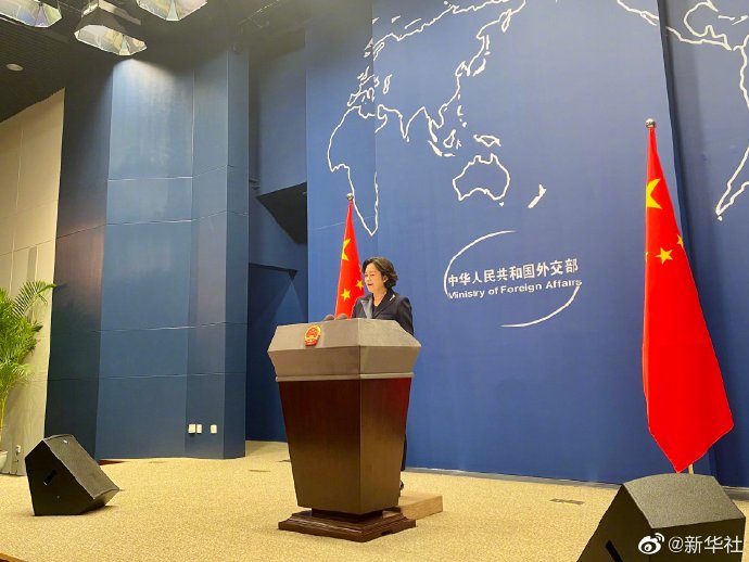 中國外交部發言人華春瑩。 圖 : 翻攝自新華網