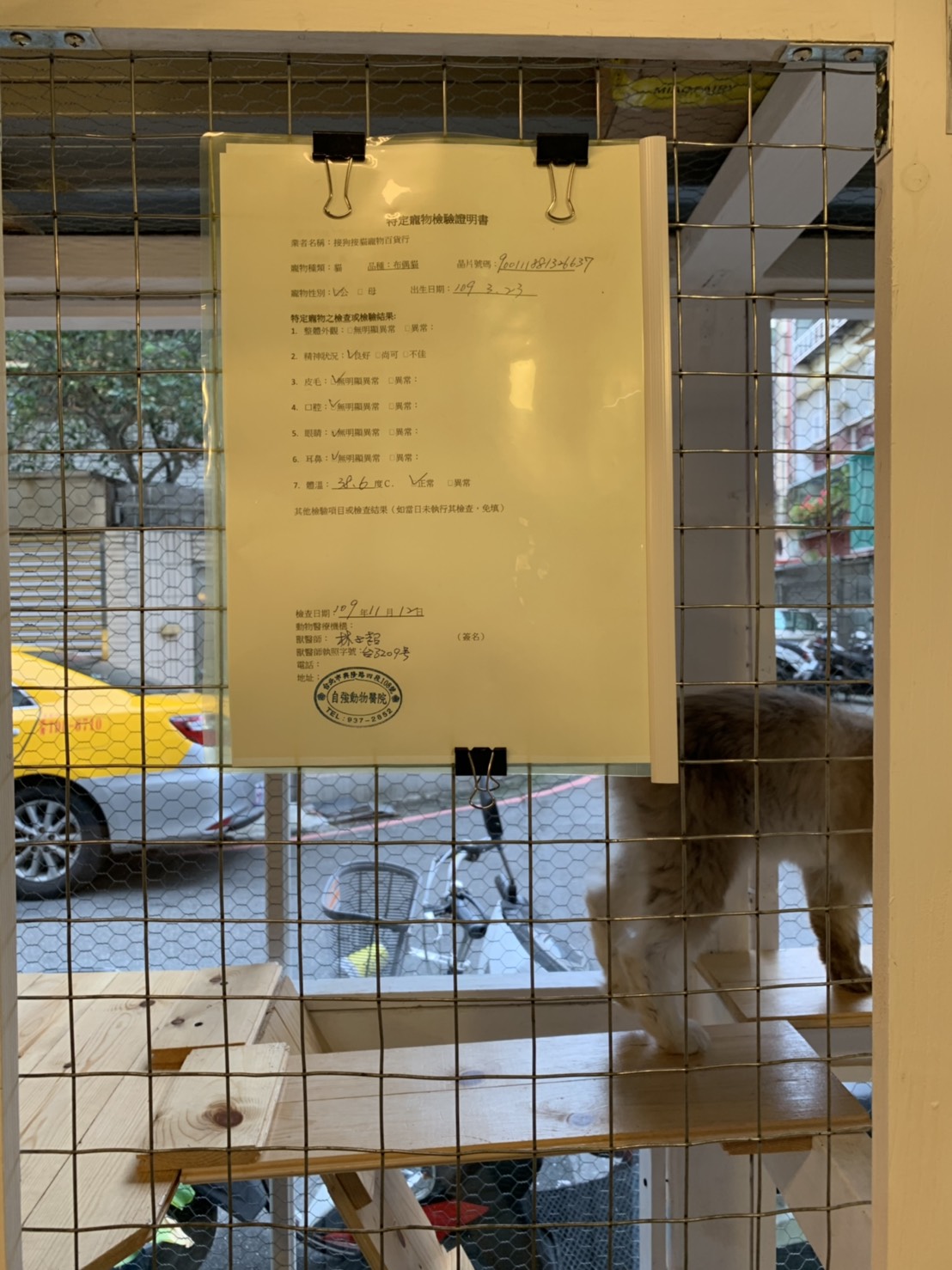 業者提供販賣犬貓的獸醫師開立檢驗證明。 圖：新北市動保處提供
