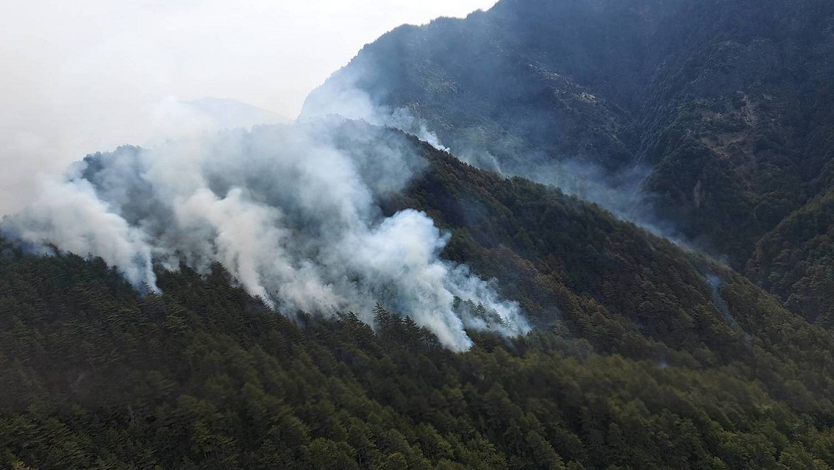 5名登山客煮食不慎，引發森林火警。 圖：嘉義林管處提供