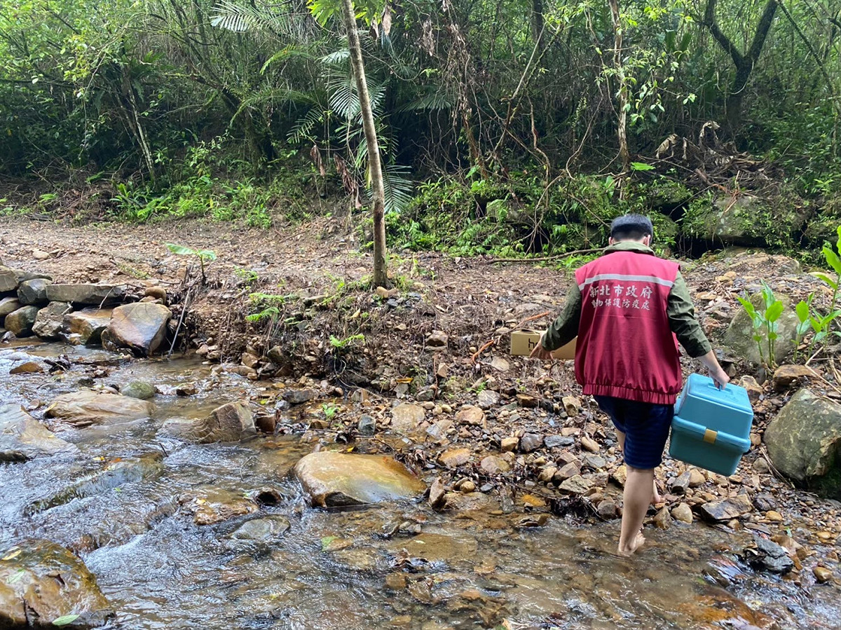 為尋覓適合野放地點，動保處人員跋山涉水。 圖：新北市動保處提供