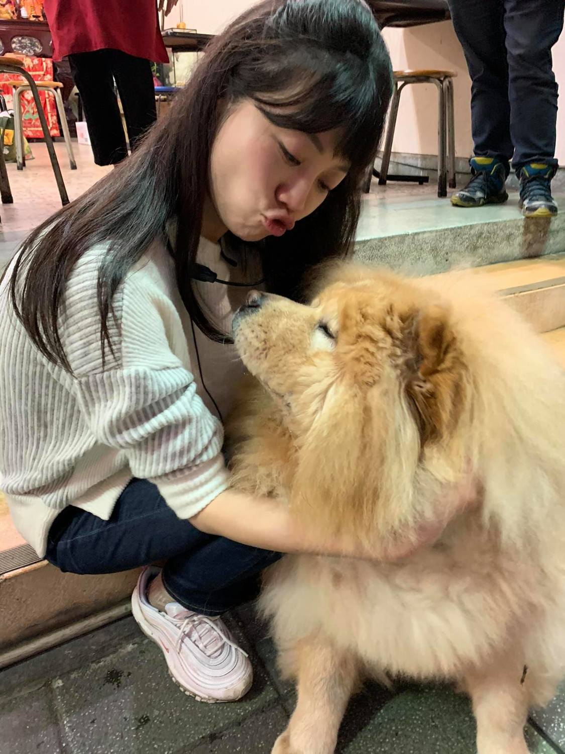 民進黨立法委員高嘉瑜今（23）日特別提醒，飼主應保持警覺，消毒區範圍3日內切勿遛狗。 圖：取自高嘉瑜臉書