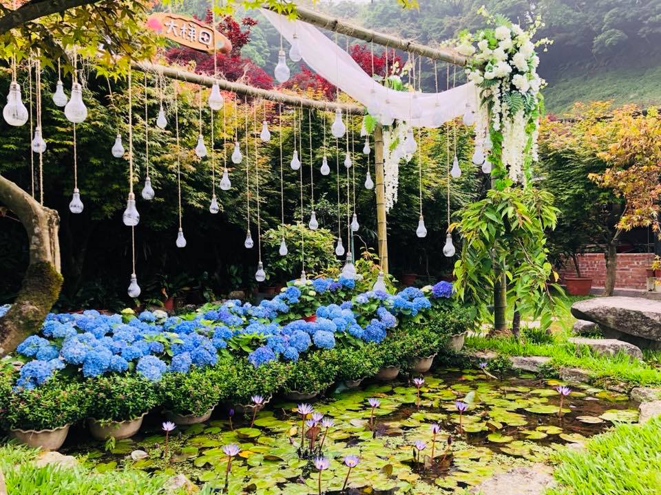 業者的線上賞花讓人在家防疫也可看到美麗的繡球花。 圖：台北產發局／提供