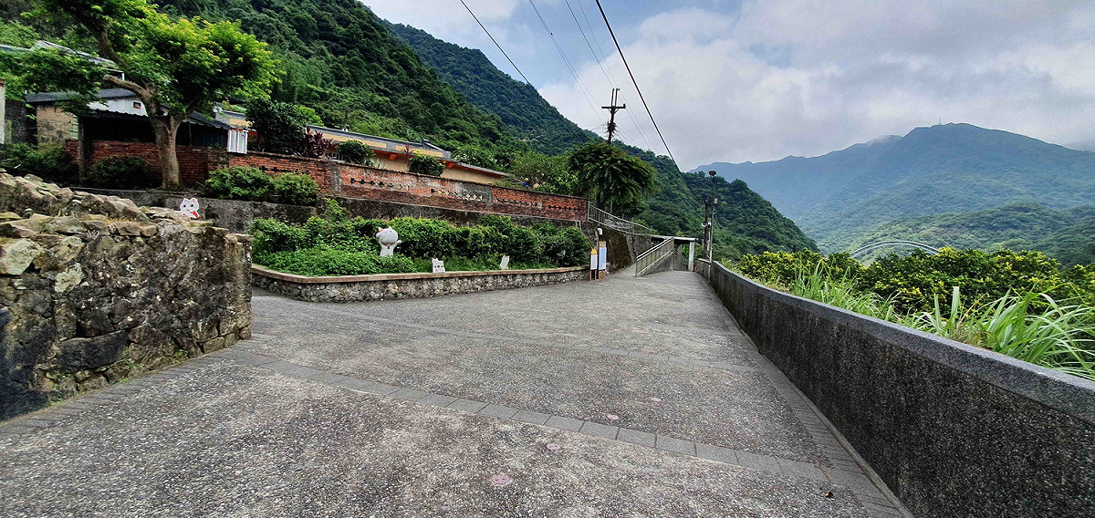 貓村貓咪都知道要減少外出了，也請民眾跟貓咪一起抗疫。 圖：新北市動保處提供