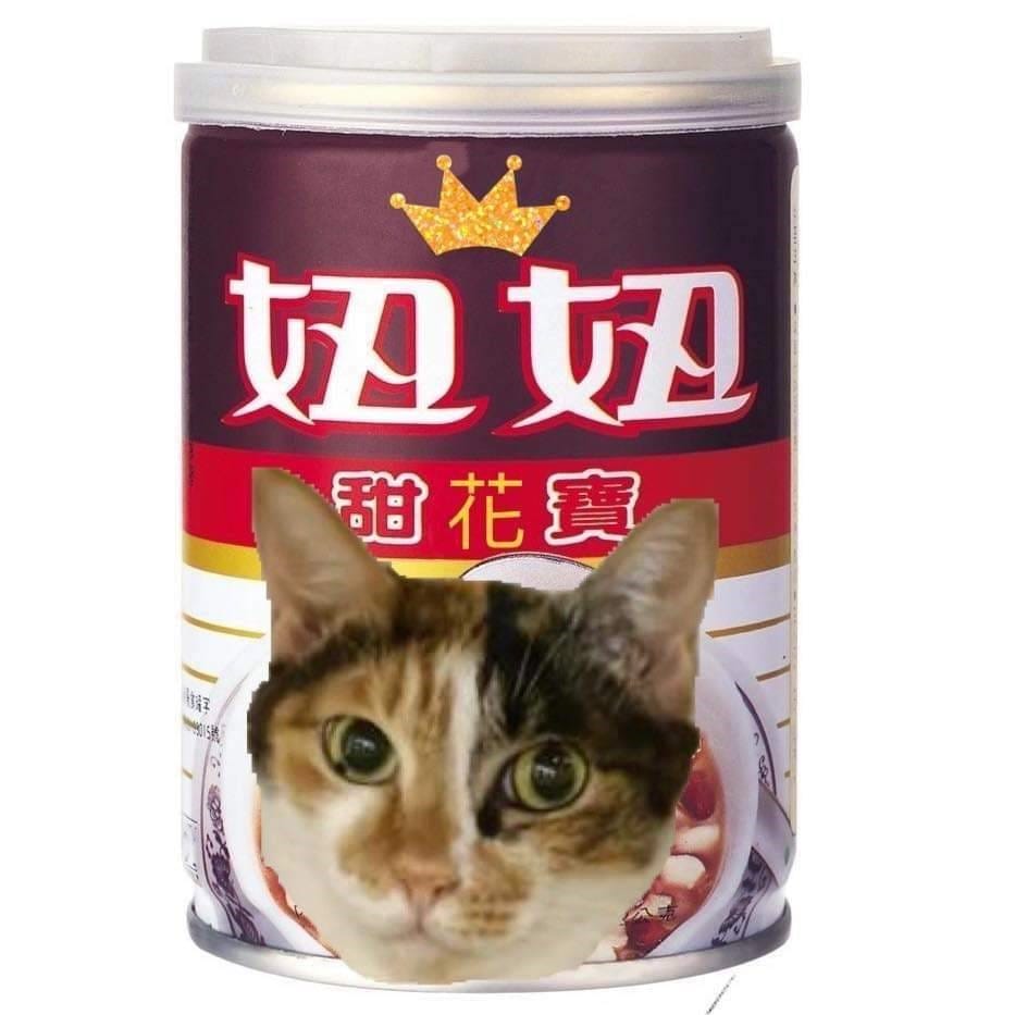 妞妞甜花寶粉絲專頁。  圖：新北市動保處提供