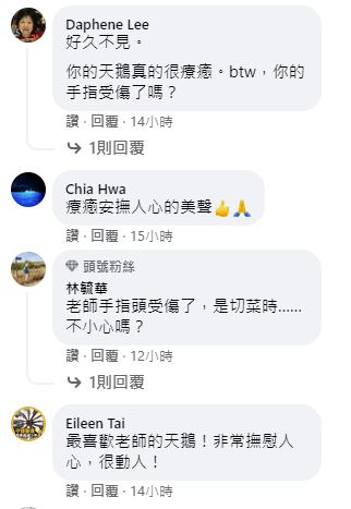 很多網友留言表示張正傑的演奏療癒人心。 圖：翻攝自大提琴家張正傑臉書