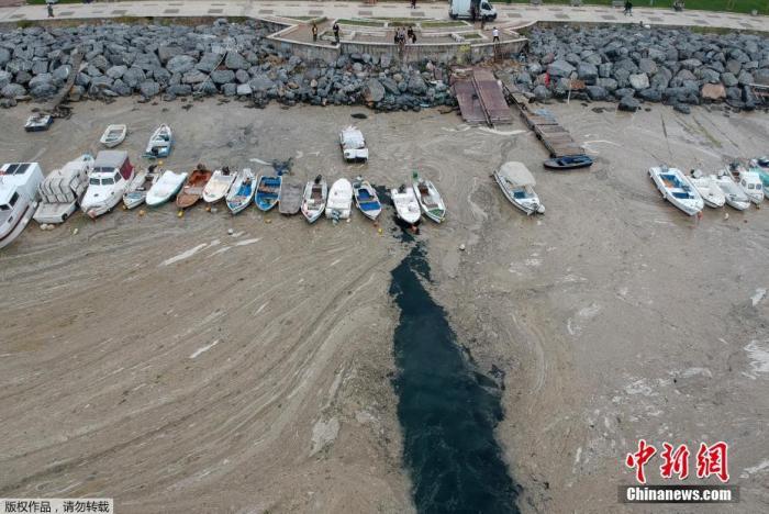 土耳其伊斯坦堡海岸出現的這些黏液俗稱「海鼻涕」，是浮游生物包括藻類釋放出的有毒膠狀有機物質。 圖 : 翻攝自中新網