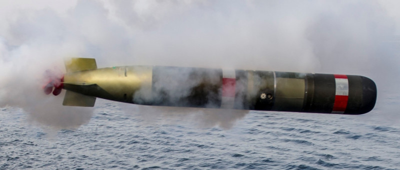 「錘頭鯊」智慧水雷武器模組使用的改良型「Mk54鯖鯊(MAKO)輕型魚雷」 圖：翻攝雷神官網