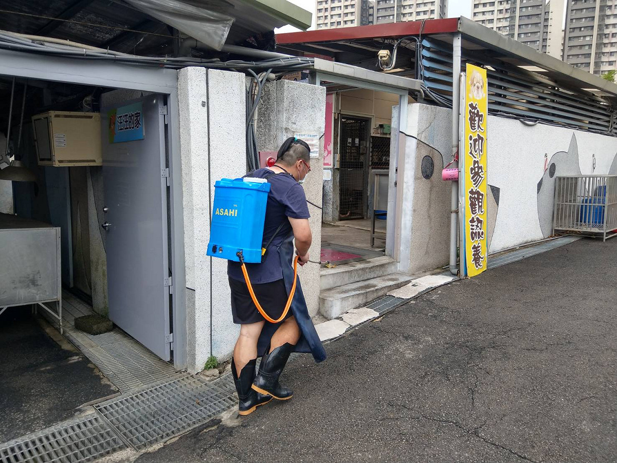 板橋動物之家園區消毒防範蚊蠅孳生。  圖：新北市動保處提供