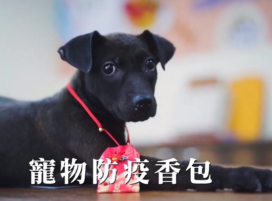 寵物防疫香包可讓毛寶貝佩掛防蚊蟲。 圖：新北市動保處提供